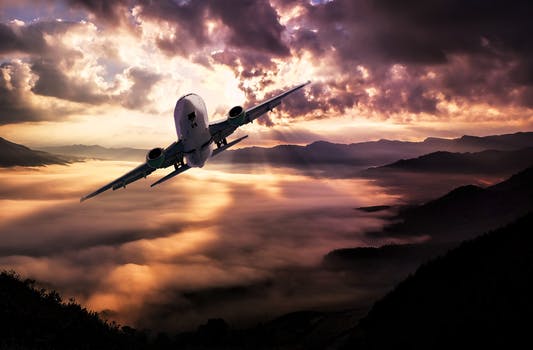 Flight 791